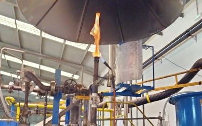 imagen de whatsapp 2025 11 03 a las 06.45.05 c9cb8631(1)a